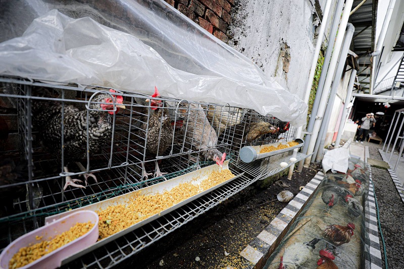 Rasio Gini dan Stunting Masih Jadi Tantangan