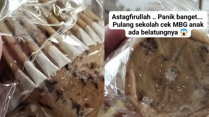 Viral Video Belatung Hidup Penuhi Roti Menu MBG Siswa PAUD