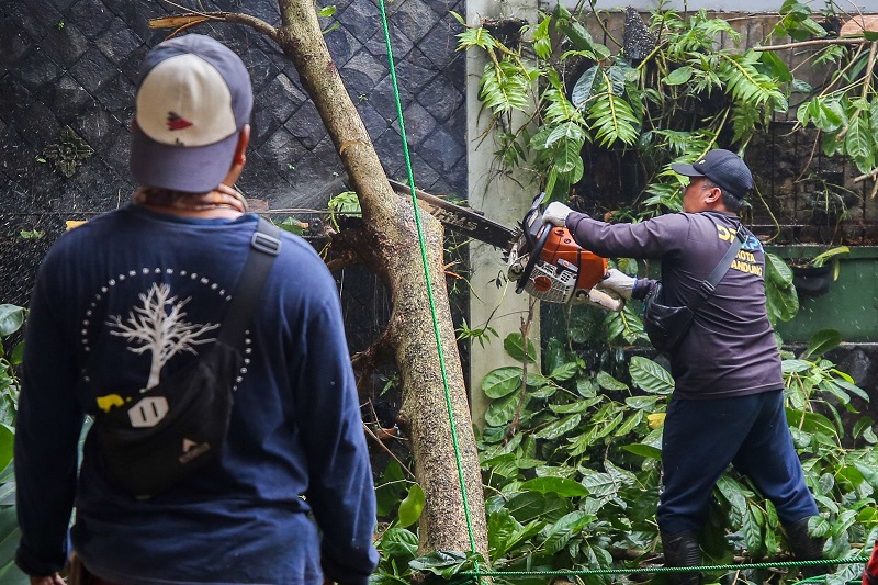 Wali Kota Dorong Penanganan Holistik Hadapi Ancaman Cuaca Ekstrem