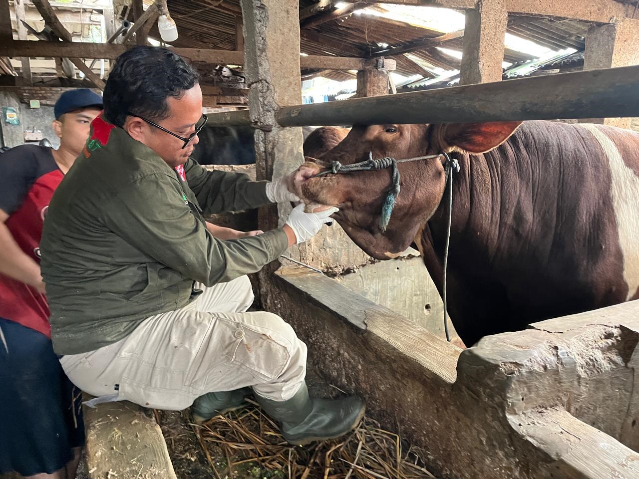 Kota Bandung Siapkan Aplikasi E-Selamat Jelang Iduladha 